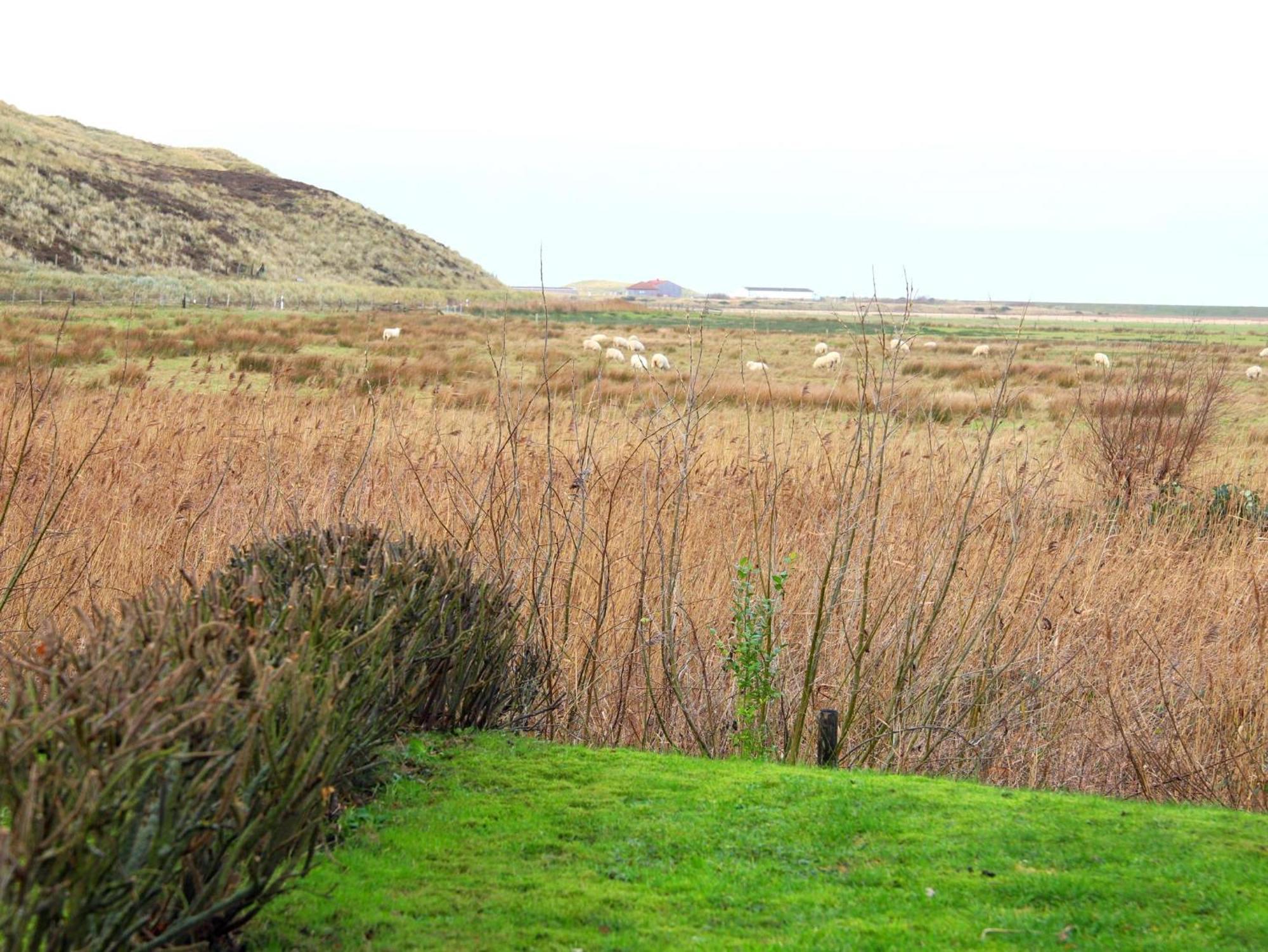 Am Loo 8b, Ferienhaus List auf Sylt